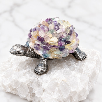 Other: Fluorite Turtle