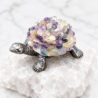 Fluorite Turtle