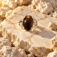 Tigers eye Adjustable Silver